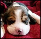 Girl 2 wk2